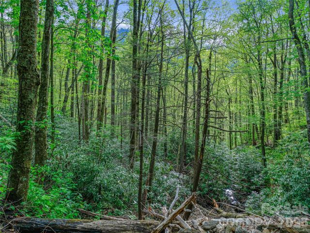 1161 Deep Gap Road, Burnsville, NC 28714