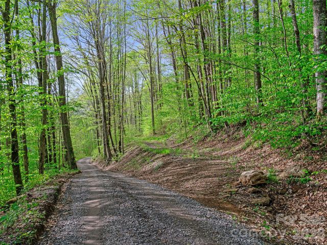 1161 Deep Gap Road, Burnsville, NC 28714