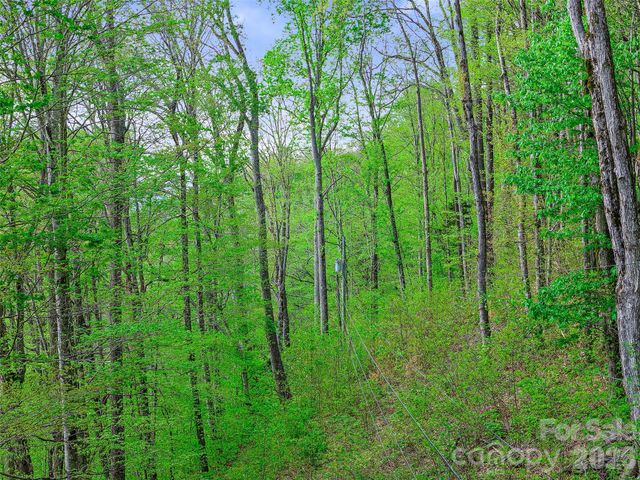 1161 Deep Gap Road, Burnsville, NC 28714