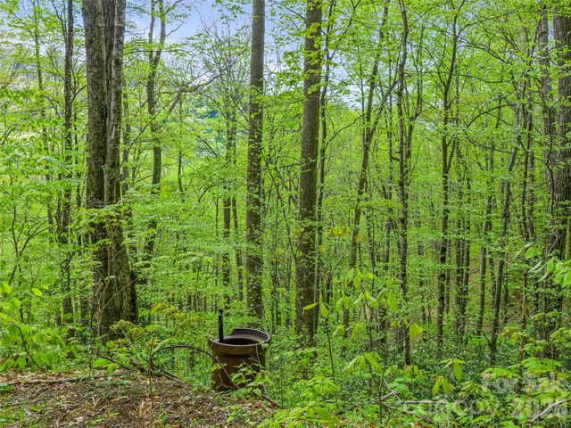 1161 Deep Gap Road, Burnsville, NC 28714