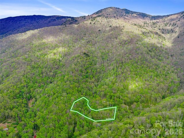 1161 Deep Gap Road, Burnsville, NC 28714