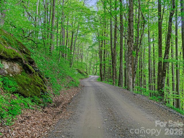 1161 Deep Gap Road, Burnsville, NC 28714