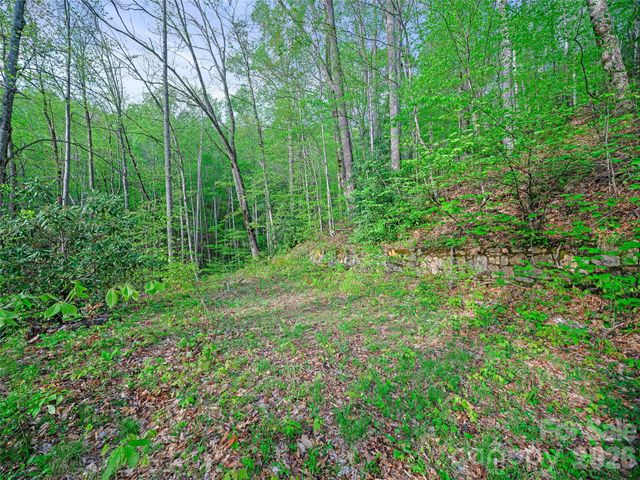1161 Deep Gap Road, Burnsville, NC 28714
