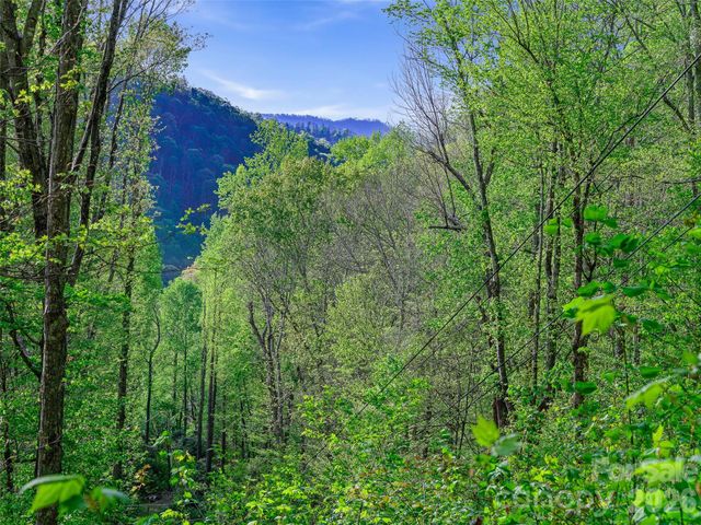1161 Deep Gap Road, Burnsville, NC 28714
