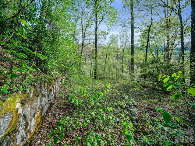 1161 Deep Gap Road, Burnsville, NC 28714