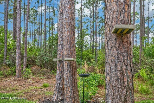 247 FLORES Way, St. Johns, FL 32259