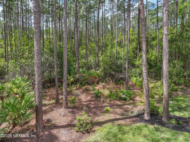 247 FLORES Way, St. Johns, FL 32259