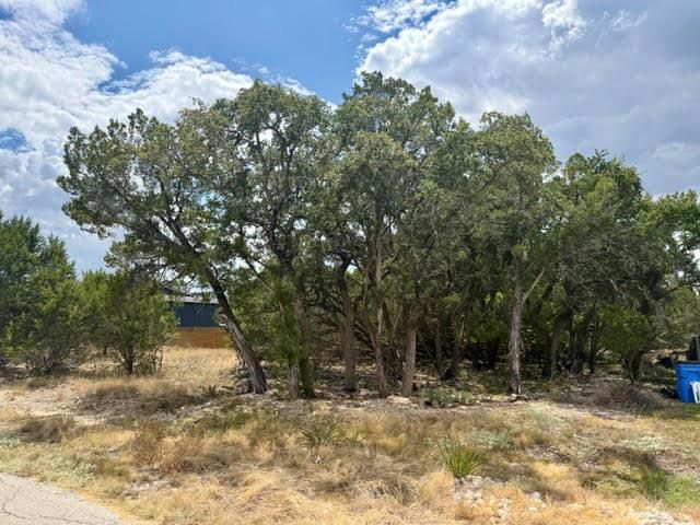 21707 Patton DR, Lago Vista, TX 78645