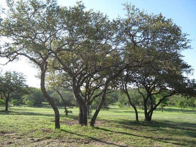 21707 Patton DR, Lago Vista, TX 78645
