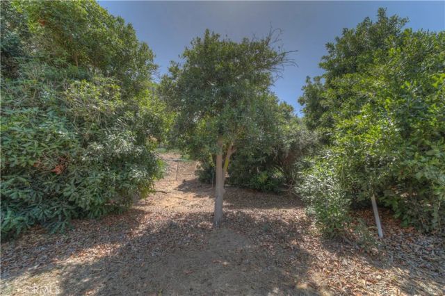 897 Leland Place, El Cajon, CA 92019