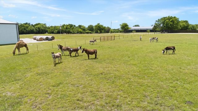 14705 County Road 545, Nevada, TX 75173