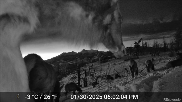 374-376 Soubry Place, Fort Garland, CO 81133