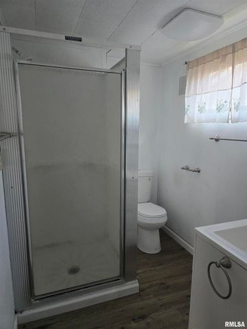 306 S 8TH Avenue, Albany, IL 61230