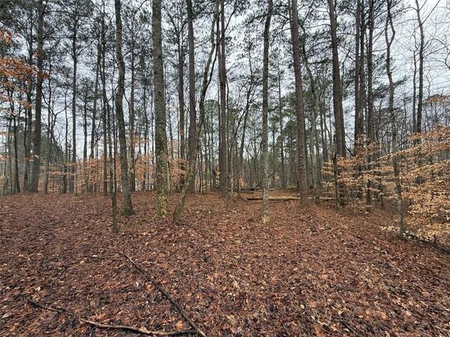 1666 Rock Springs Lane, Woodstock, GA 30188