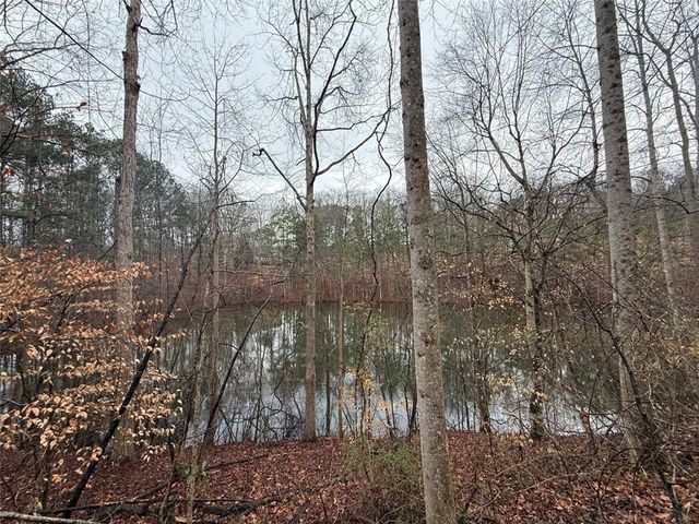 1666 Rock Springs Lane, Woodstock, GA 30188