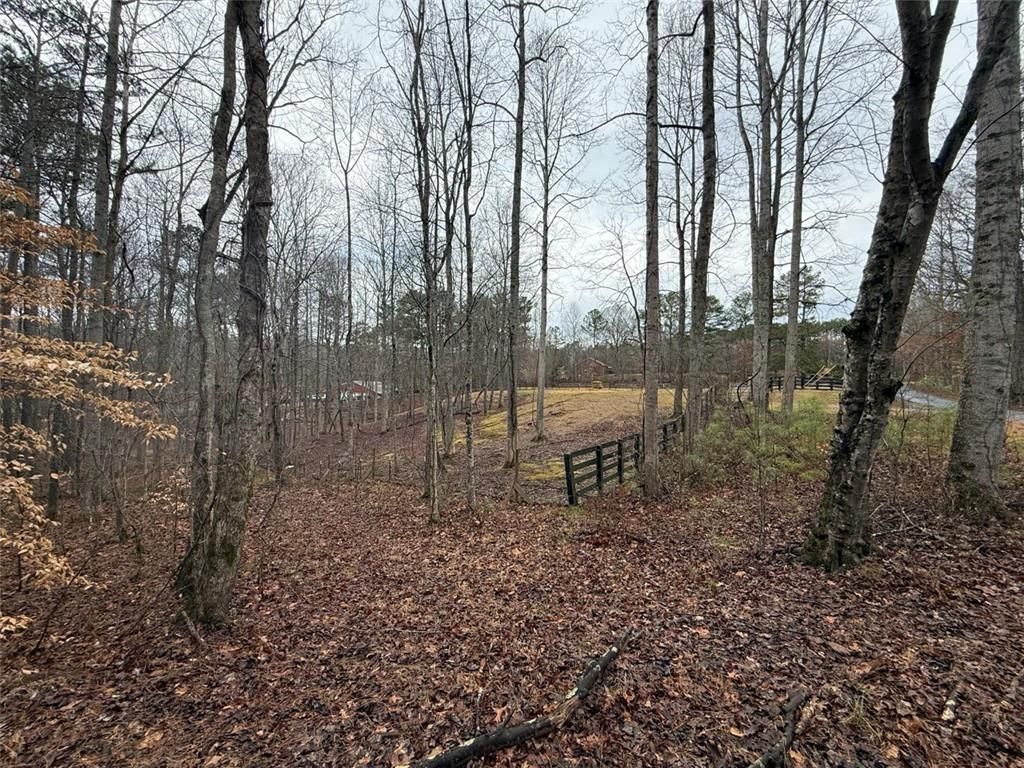1666 Rock Springs Lane, Woodstock, GA 30188