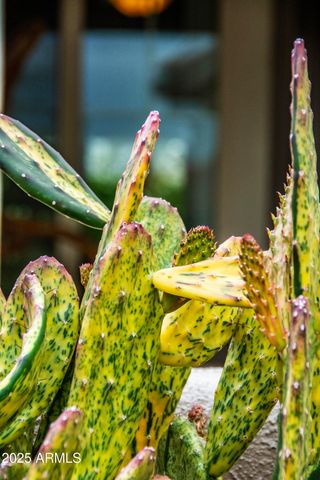 12945 W EL SUENO Court, Sun City West, AZ 85375