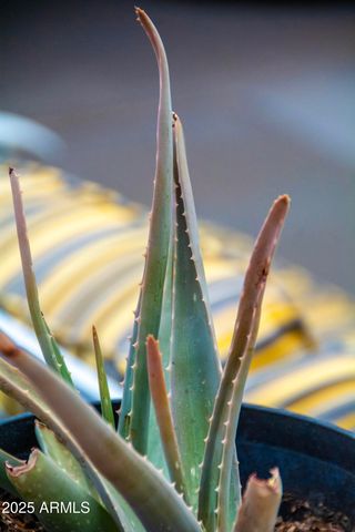 12945 W EL SUENO Court, Sun City West, AZ 85375