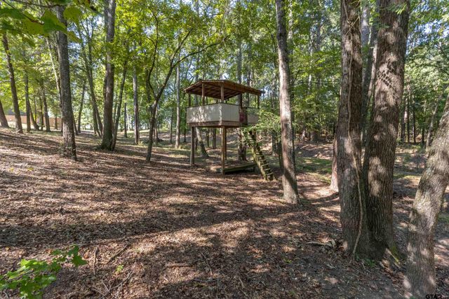 20761 County Road 3302, Brownsboro, TX 75756