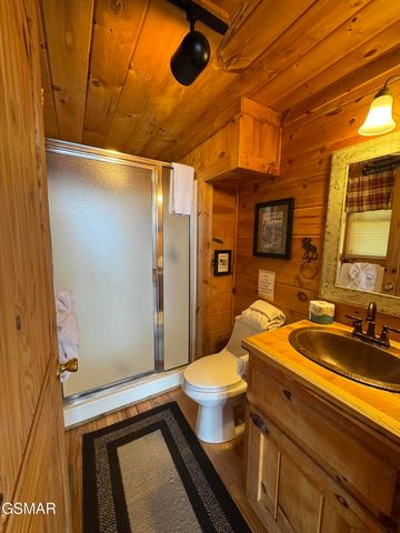 3640 Carsons Ridge Way, Sevierville, TN 37862