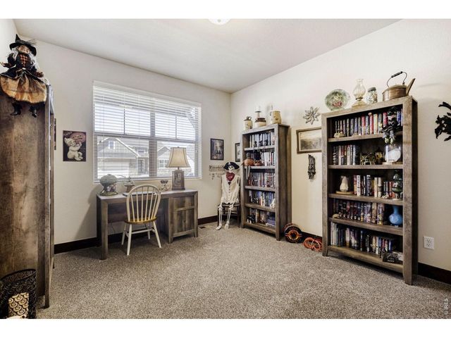 2009 Orchard Bloom Dr, Windsor, CO 80550