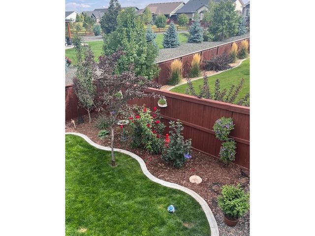 2009 Orchard Bloom Dr, Windsor, CO 80550