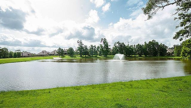 135 Deerfield Meadow Drive, Conroe, TX 77384