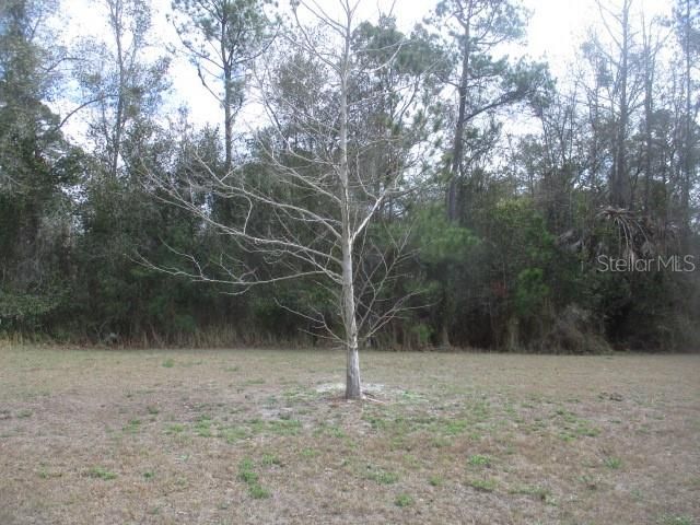 5150 DIANTHA WAY, Brooksville, FL 34604