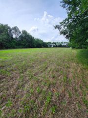 TRACT 1 E MCHATTON RD, Sturgeon, MO 65284
