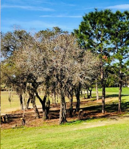 51 HICKORY COURSE TRAIL, Ocala, FL 34472
