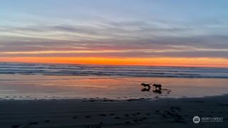 304 14th Street NW #223, Long Beach, WA 98631