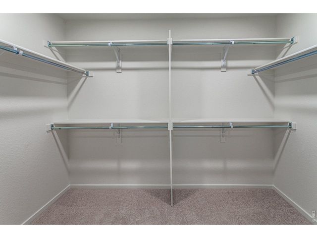 3116 Barnstormer St, Fort Collins, CO 80524