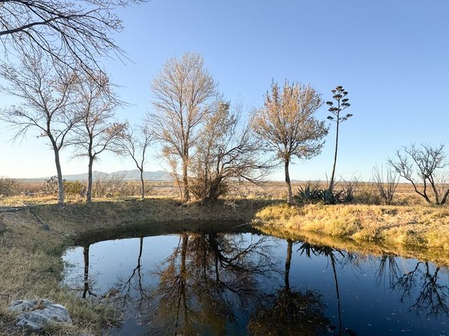 89 Alamito Creek Rd, Marfa, TX 79843