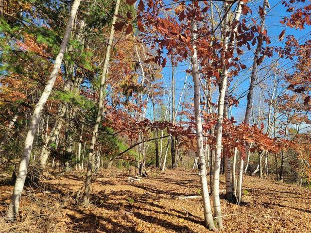 VL North Branch Drive, Beaverton, MI 48612