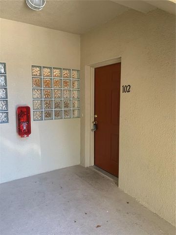 6017 PORTSDALE PLACE 102, Riverview, FL 33578