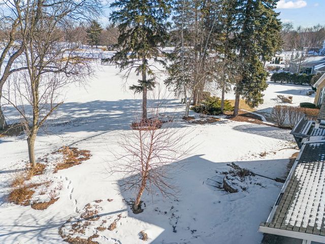 729 Burning Tree Lane, Naperville, IL 60563