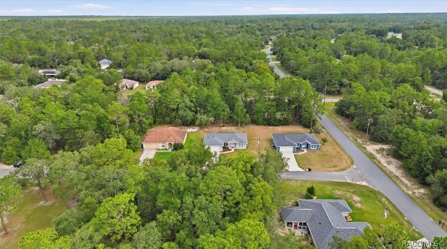 2979 W Akron Place, Dunnellon, FL 34433