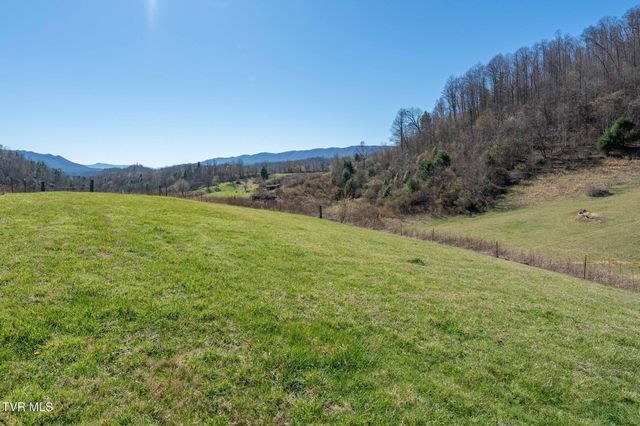 533 Robinson Hollow Lane, Mountain City, TN 37683