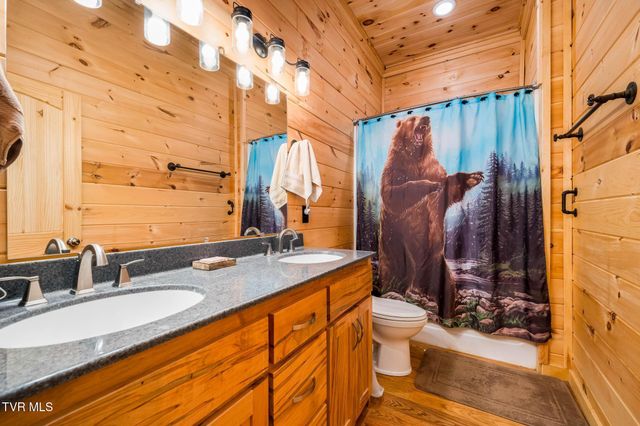 533 Robinson Hollow Lane, Mountain City, TN 37683