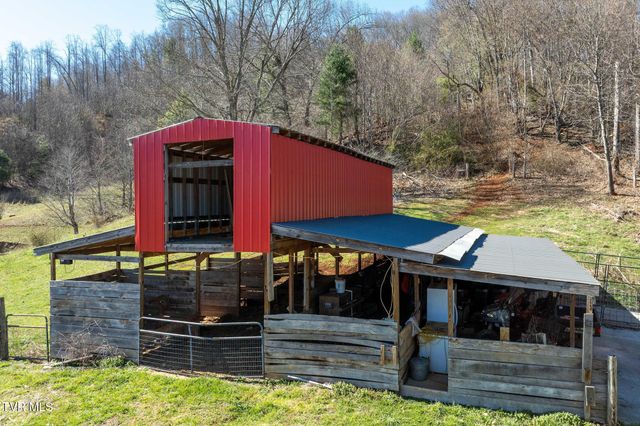 533 Robinson Hollow Lane, Mountain City, TN 37683