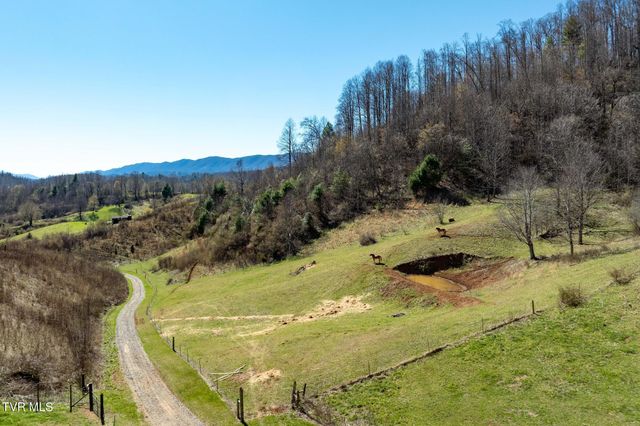 533 Robinson Hollow Lane, Mountain City, TN 37683