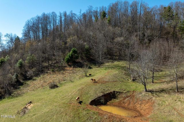 533 Robinson Hollow Lane, Mountain City, TN 37683