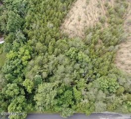 Lot 46 Driftwood Circle, Sevierville, TN 37876