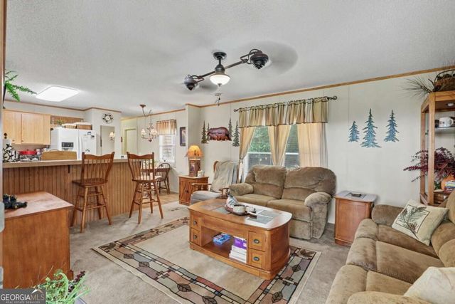 620 Hamilton Drive, Hiawassee, GA 30546