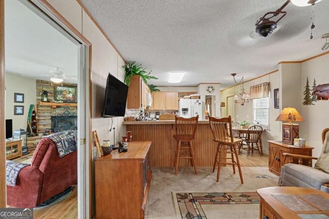620 Hamilton Drive, Hiawassee, GA 30546