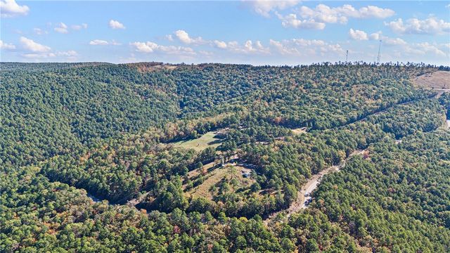 10127 George Mountain Loop, Danville, AR 72833