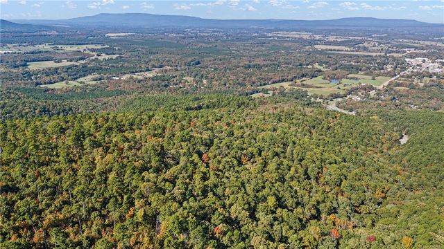 10127 George Mountain Loop, Danville, AR 72833