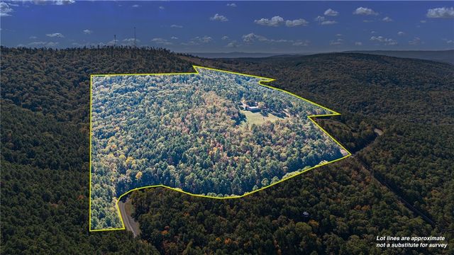 10127 George Mountain Loop, Danville, AR 72833