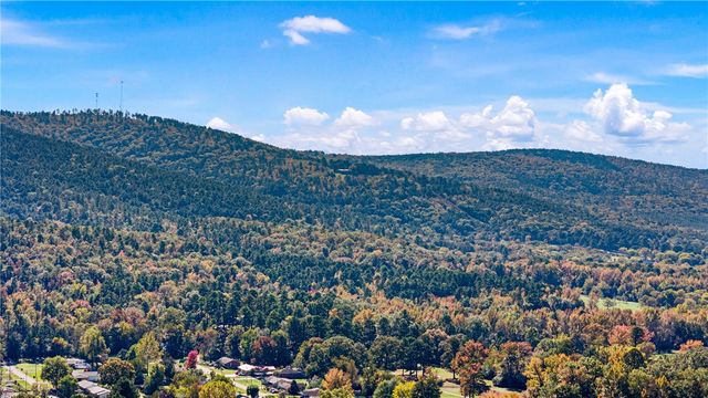 10127 George Mountain Loop, Danville, AR 72833