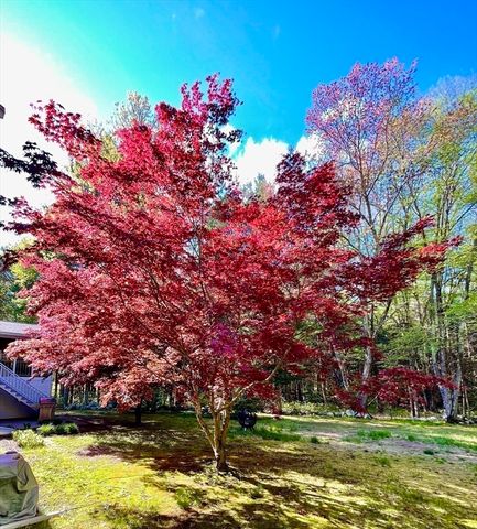 114 Hunters Ridge Rd, Concord, MA 01742